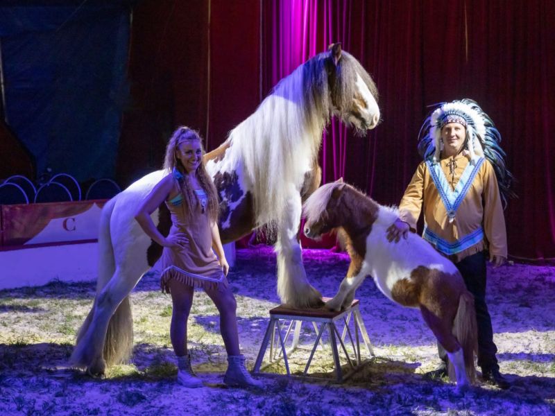 Tierdarbietung im Circus Max Renz